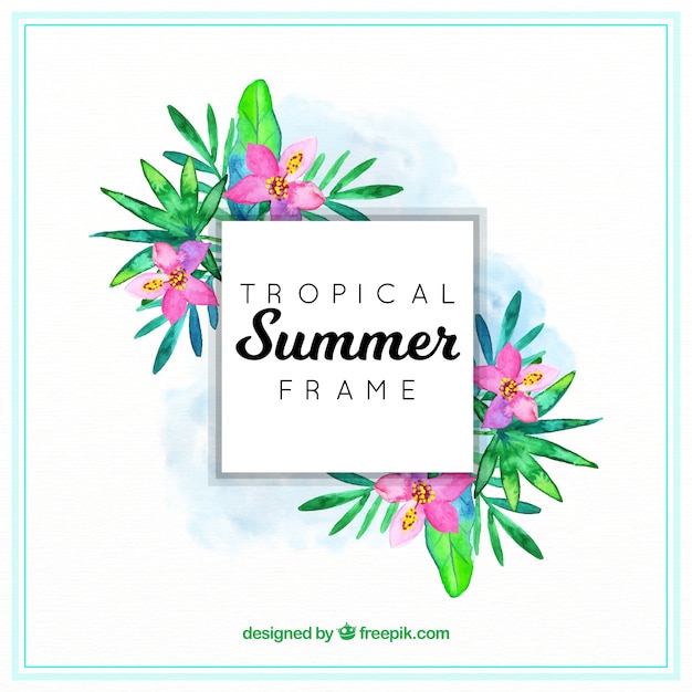 Gratis vector het frame van de zomer met tropische bladeren