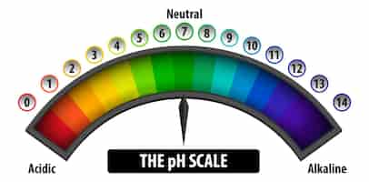 Gratis vector het ph-schaal diagram op een witte achtergrond