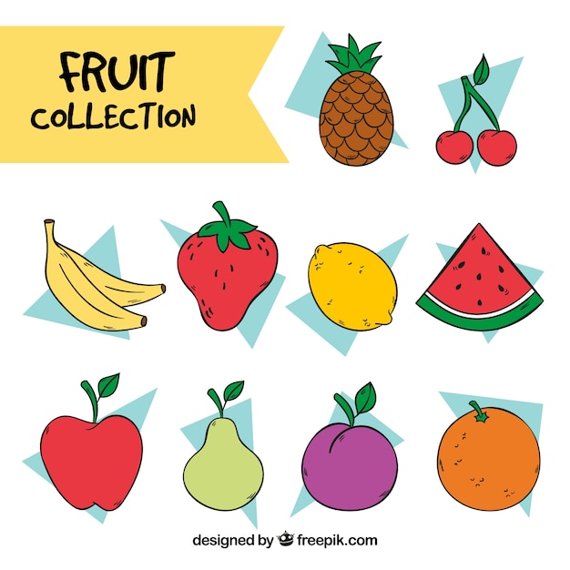 Gratis vector het verzamelen van de hand getekende vruchten