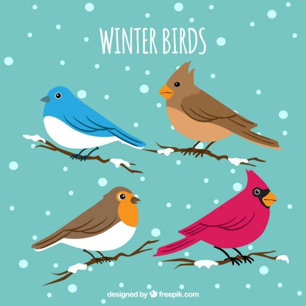 Gratis vector het verzamelen van de winter vogels op takken