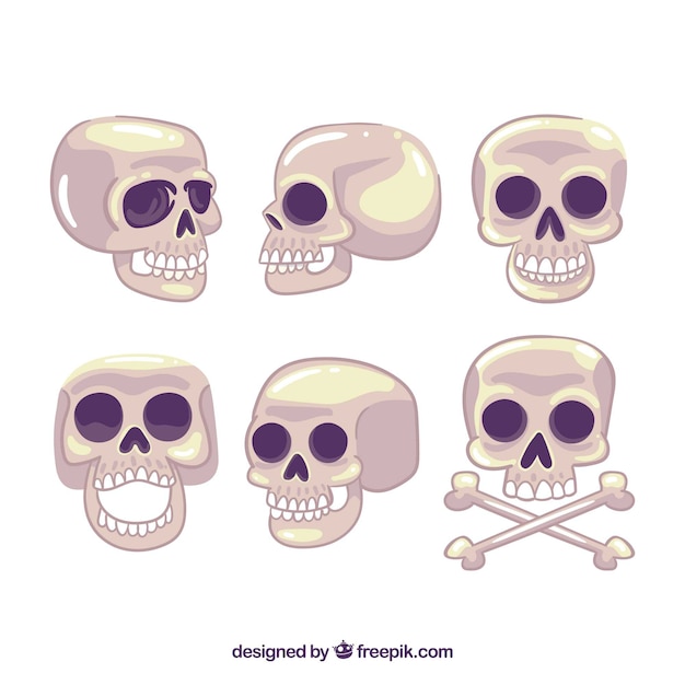 Gratis vector het verzamelen van schedels in verschillende posities