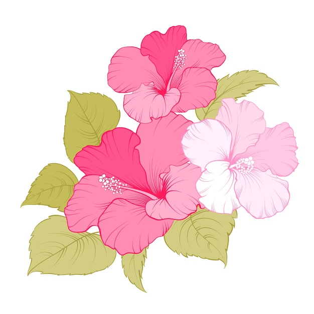 Gratis vector hibiscus tropische bloem