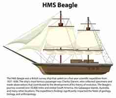 Gratis vector hms beagle schip informatieve poster