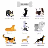 Gratis vector honden fokken gekleurde set