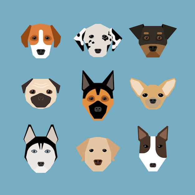 Gratis vector honden in vlakke stijl. huisdier en stamboom, waakhond en dalmatiërs, herder en mopshond