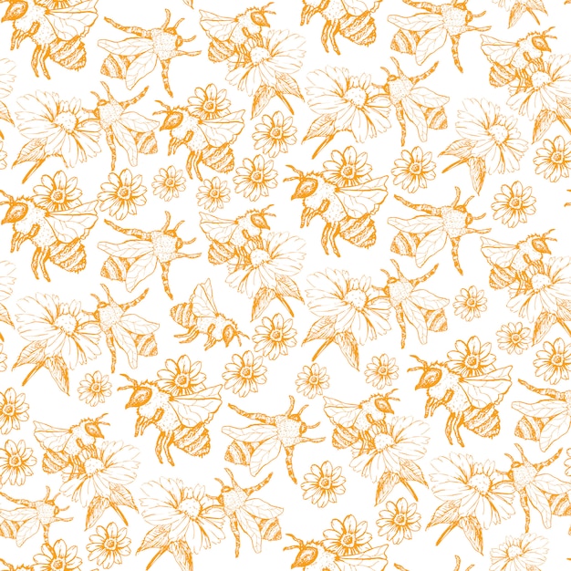 Honey Bee Seamless Pattern, Schetsillustratie met Bijenkasten in Uitstekende Stijl