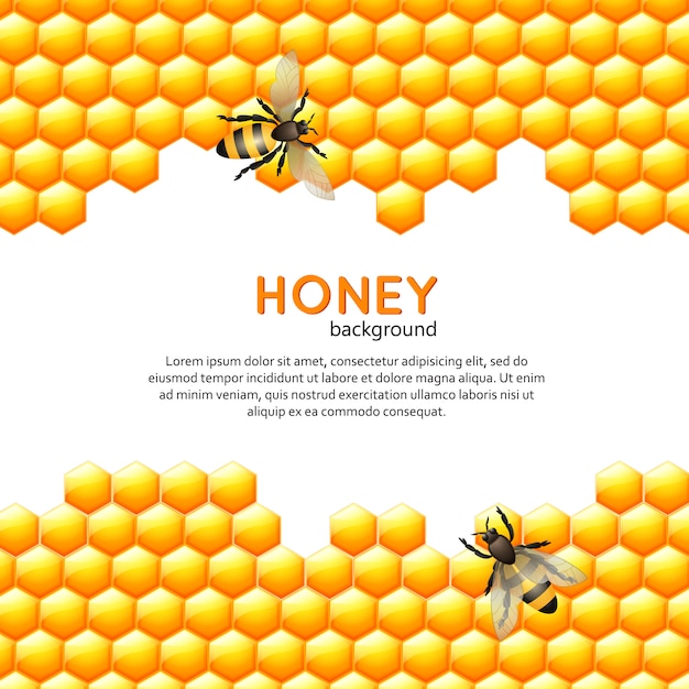 Honingbij achtergrond