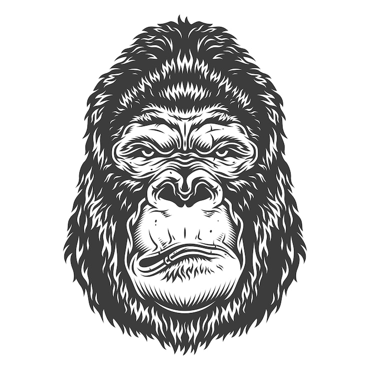 Gratis Vector hoofd van de gorilla