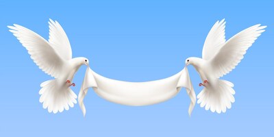 Horizontale samenstelling met twee witte vliegende duiven op blauw die lege witte banner in zijn bek houden als realistisch symbool van vrede en harmonie