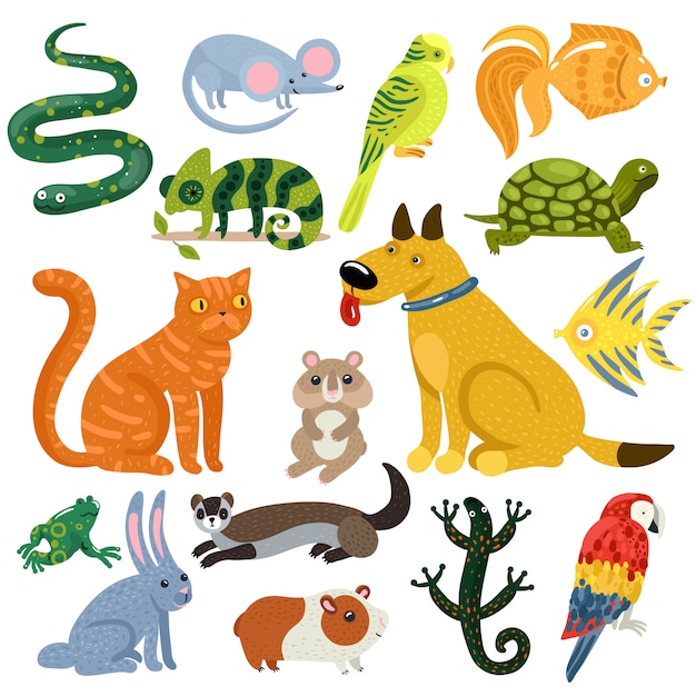 Huisdieren kleurrijke Icons Set