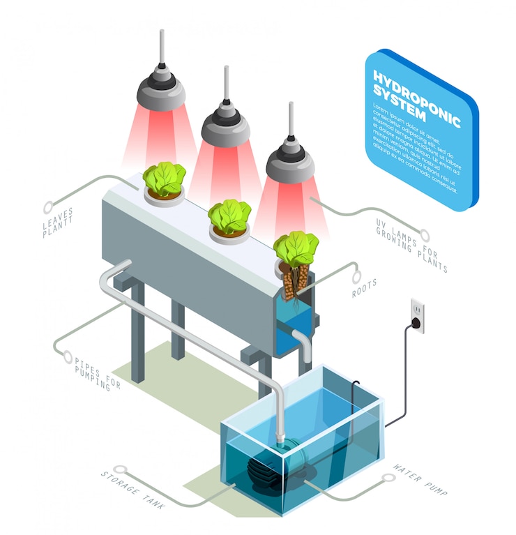 Gratis Vector hydrocultuur systeem infographic lay-out