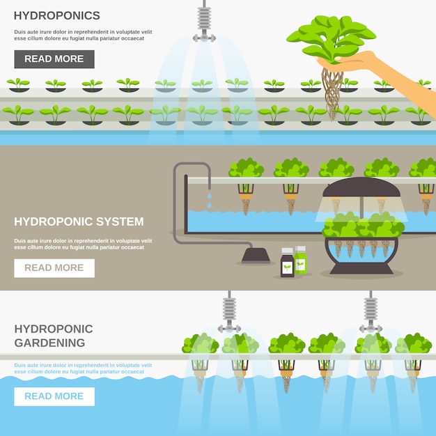 Hydroponic-systeembannerset