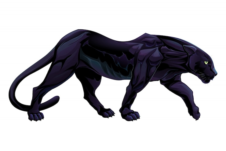 Gratis Vector illustratie van een geïsoleerde zwarte panter vector object