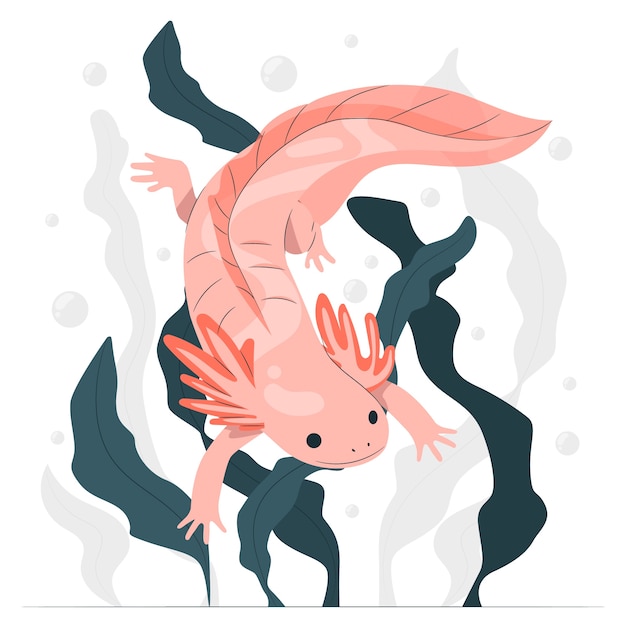 Gratis vector illustratie van het concept van de axolotl