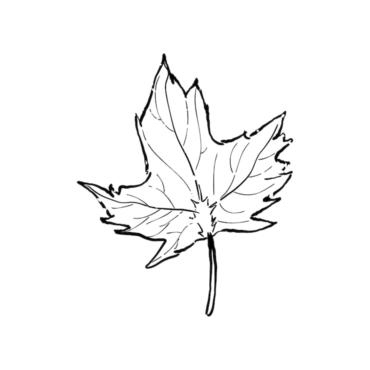Gratis Vector illustratie van plant