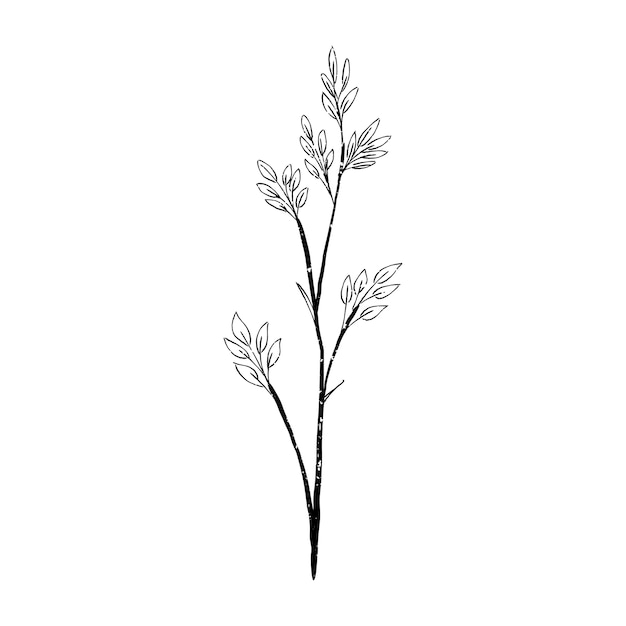 Gratis vector illustratie van plant