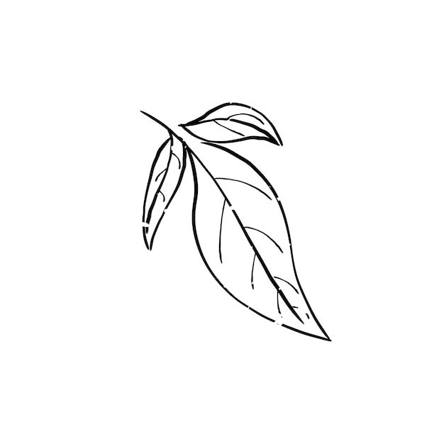 Illustratie van plant