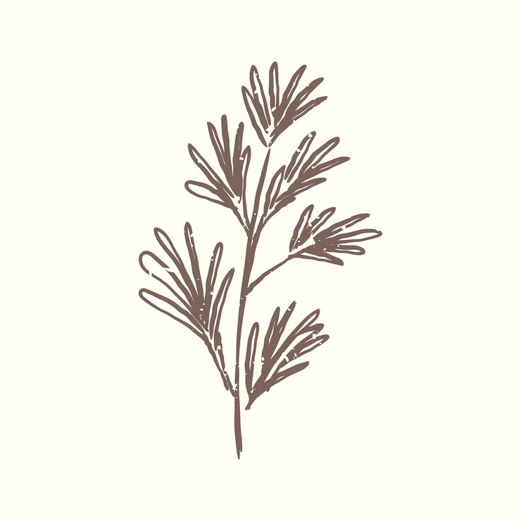 Gratis Vector illustratie van plant