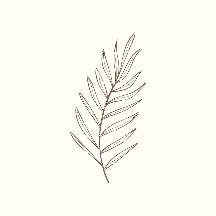 Gratis Vector illustratie van plant