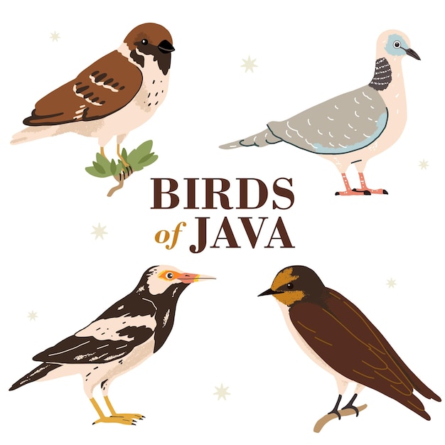 Illustratie van verschillende soorten vogelpictogrammen op het eiland Java