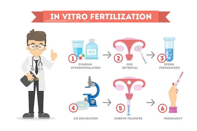 Gratis vector in-vitrofertilisatie mannelijke wetenschapper met infographic