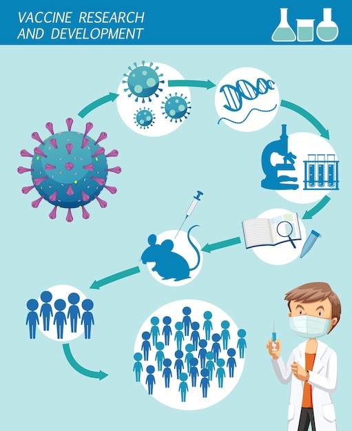 Infographic onderzoek en ontwikkeling van vaccins