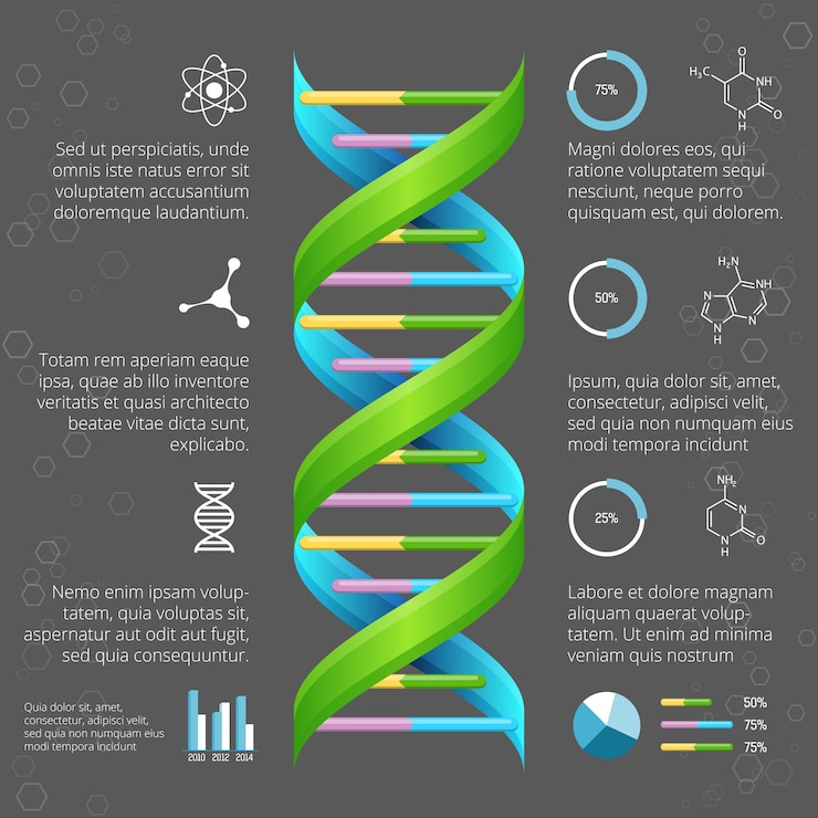 Gratis Vector infographic sjabloon met dna-structuur voor medisch en biologisch onderzoek. genetische gezondheid, levensevolutie, helix van de modellijn