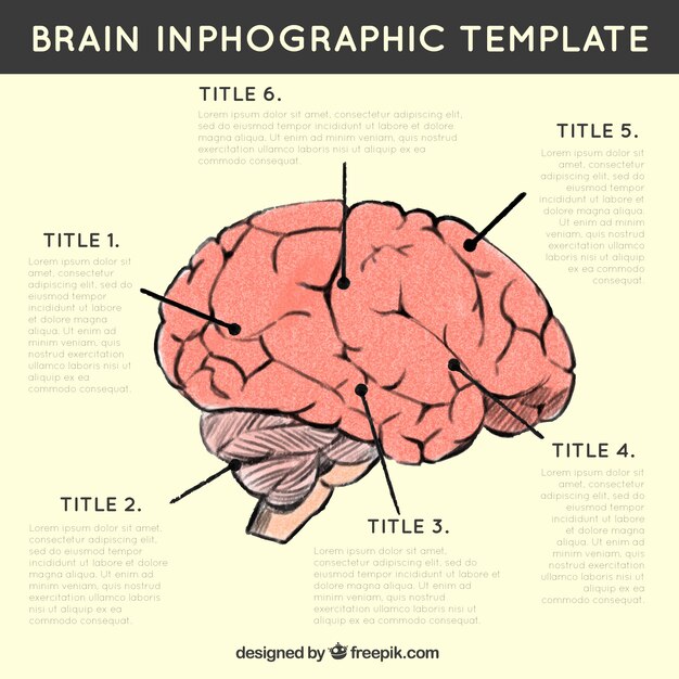 Infographic van het menselijk brein met verschillende opties
