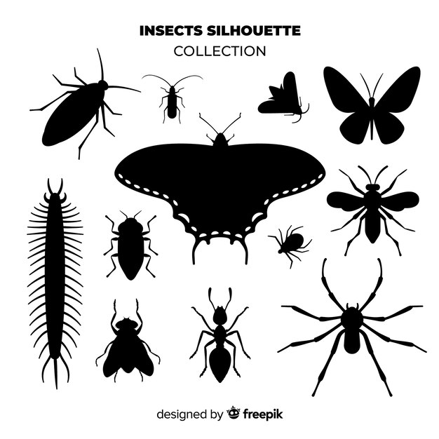 Insect silhouet collectie