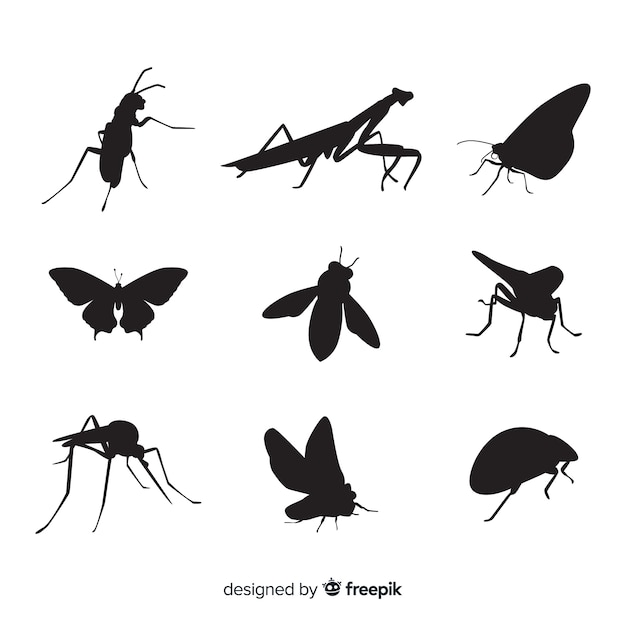 Insect silhouet collectie