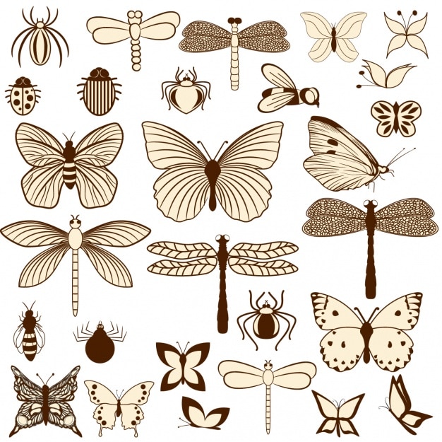 Gratis vector insecten ontwerp