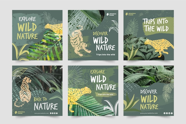 Gratis vector instagram-postverzameling voor wilde natuur met vegetatie en dieren