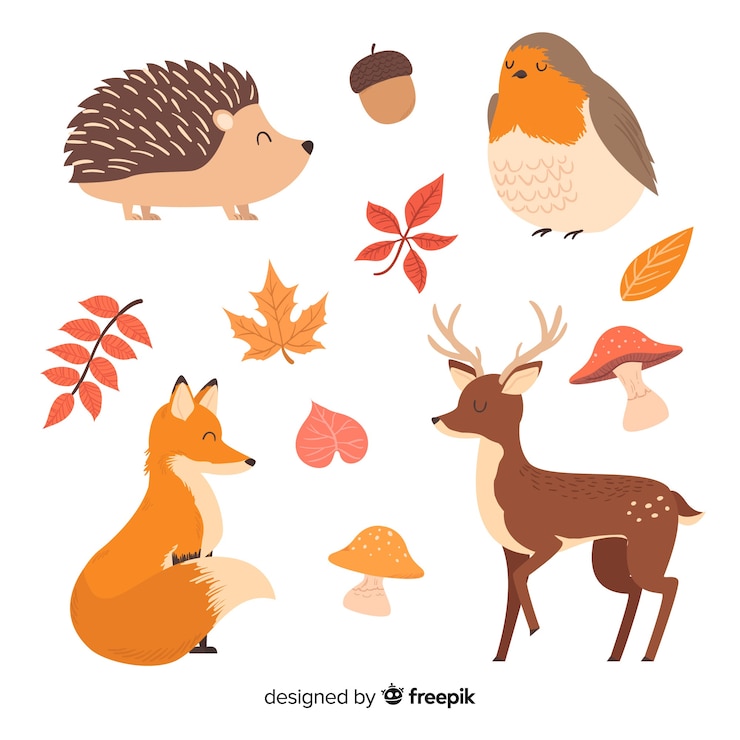 Gratis Vector inzameling van hand getrokken bosdieren
