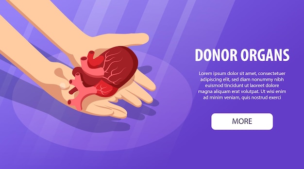Isometrische donor menselijke organen horizontale banner