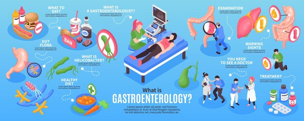 Isometrische gastro-enterologie infographic set met wat te eten darmflora, gezonde voeding, onderzoek, behandeling en andere beschrijvingen