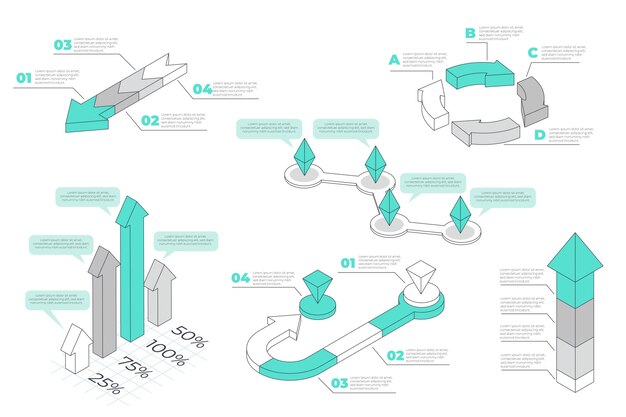 Isometrische overzicht infographic element collectie