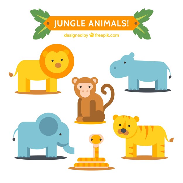 Jungle Animal Collection