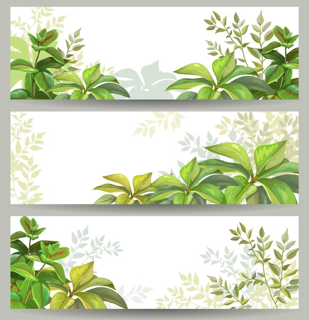 Jungle banners bundel