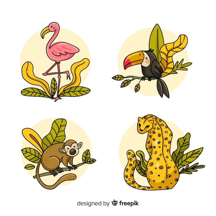 Gratis Vector jungle dieren set: flamingo, toekan, aap, luipaard