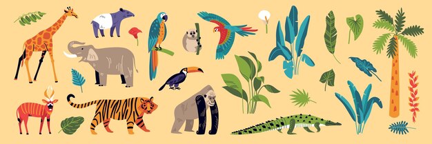 Jungle kleur set met geïsoleerde iconen van flora en fauna diersoorten en exotische regenwoud planten vector illustratie