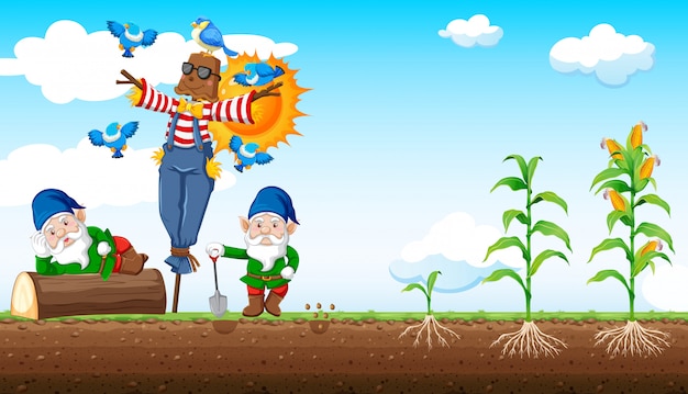 Kabouters en vogelverschrikker cartoon stijl met maïs boerderij en hemelachtergrond