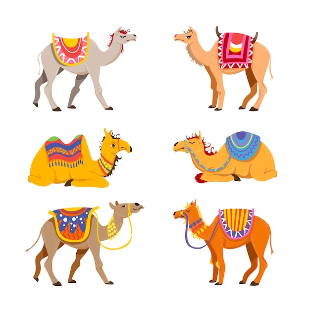 Gratis vector kameelset voor woestijncaravan. cartoon illustraties