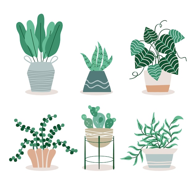 Gratis vector kamerplant collectie illustratie