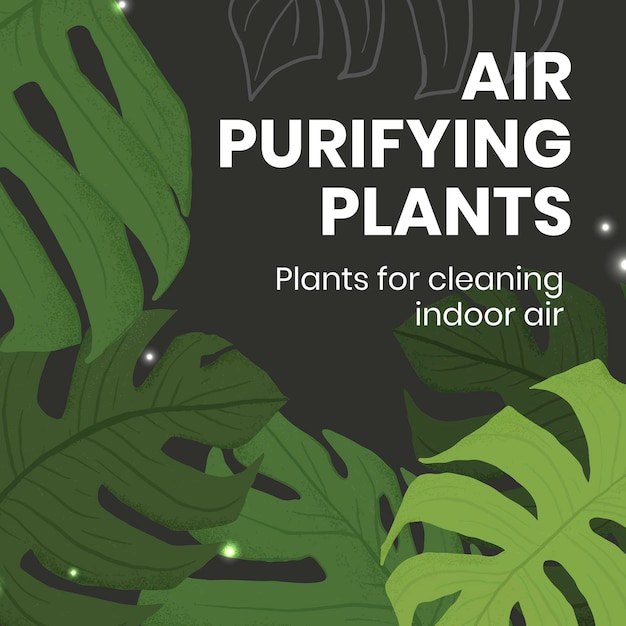 Kamerplant sociale media sjabloon vector met luchtzuiverende planten tekst