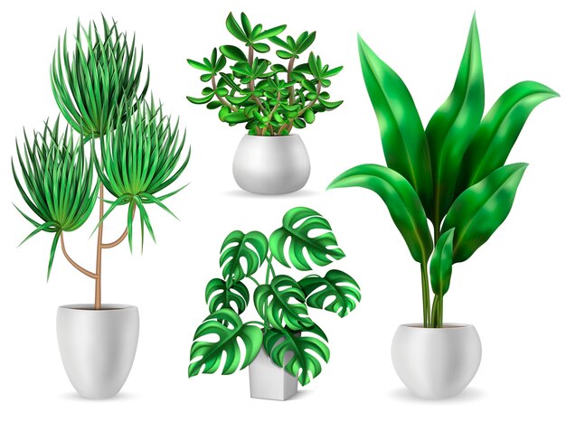 Kamerplanten set met groene bladeren realistische geïsoleerde vectorillustratie