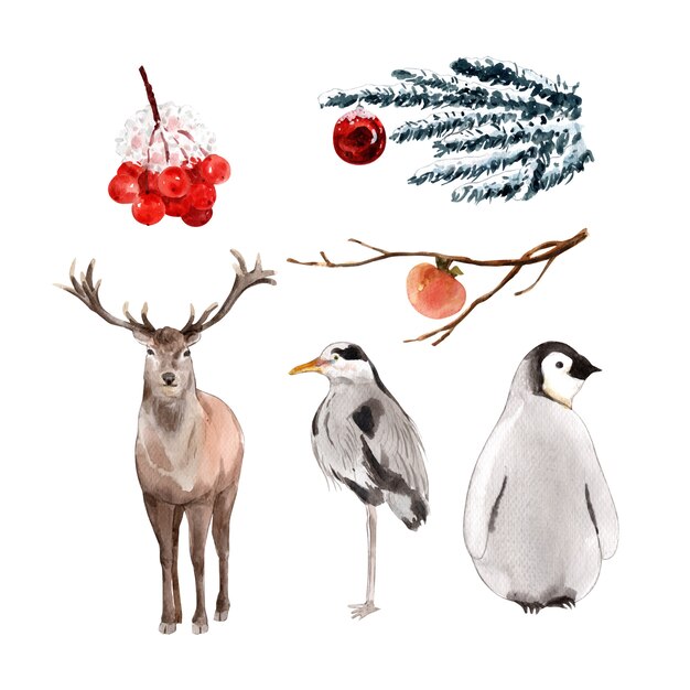 Gratis vector kariboe, vogel, pinguïn aquarel ontwerp illustratie voor decoratief gebruik.