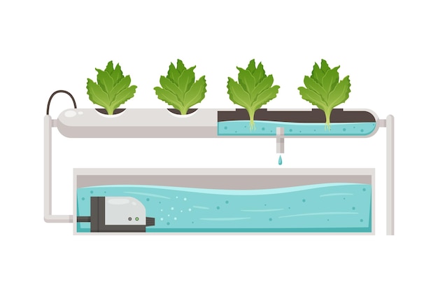 Kas verticale landbouw hydrocultuur aeroponics cartoon samenstelling met planten in buis bad vectorillustratie