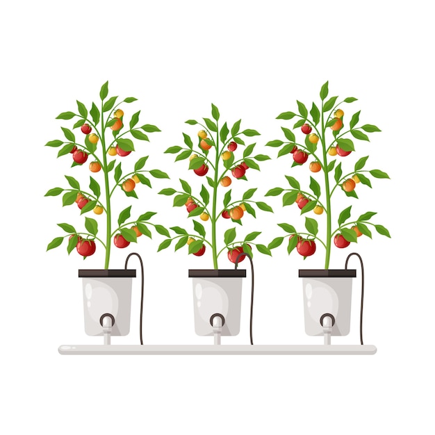 Gratis vector kas verticale landbouw hydrocultuur aeroponics cartoon samenstelling met planten in potten vectorillustratie