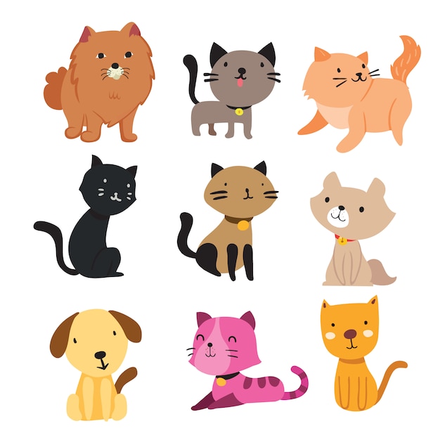 Katten en honden collectie