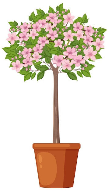 Gratis vector kersenbloesem bloem vector